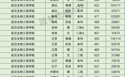 2024年武漢生物工程學(xué)院分?jǐn)?shù)線