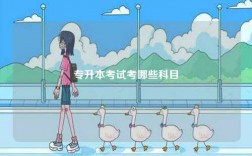 專(zhuān)升本考試考哪些科目