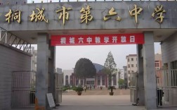 官方發布｜2025年合肥中考后升學新選擇：桐城六中綜合高中部開啟本科通道