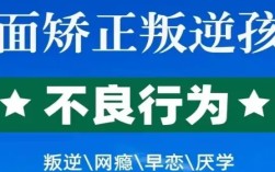 湖北武漢叛逆孩子\戒網(wǎng)癮 \軍事化特訓(xùn)管理學(xué)校-紐特教育