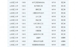 2024年山東理工大學的王牌專業排名