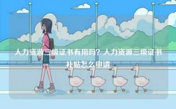 人力資源三級(jí)證書(shū)有用嗎？人力資源三級(jí)證書(shū)補(bǔ)貼怎么申請(qǐng)