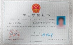 大專生可以考什么證