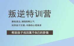 河北保定市叛逆、不上學(xué)、網(wǎng)癮行為矯正全封閉管理學(xué)校