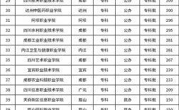 高考200多分能上什么公辦專科學校(公辦大專最低多少分能上)
