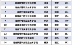 2024年湖南?？茖W校排名前十公辦大專
