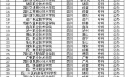 2024年四川?？茖W校公辦排名