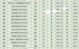 二本中外合作辦學(xué)的大學(xué)