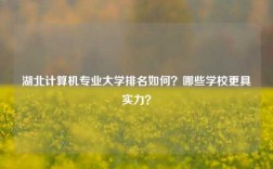 湖北計算機專業大學排名如何？哪些學校更具實力？