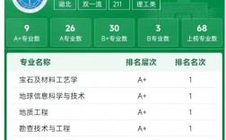 中國地質(zhì)大學(xué)在211排名如何？具體情況如何？