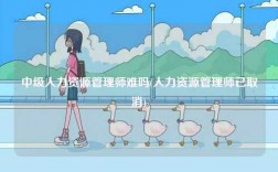 中級人力資源管理師難嗎(人力資源管理師已取消)