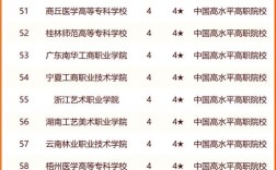 2024年職業(yè)技術(shù)學(xué)院排名前十