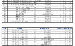 青海大學2024錄取分數線是多少？如何申請？