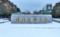 權威解讀！2025安徽自考護理學本科唯一報考院校：蚌埠醫科大學
