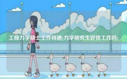 工程力學(xué)碩士工作待遇(力學(xué)研究生好找工作嗎)