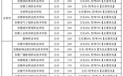 2024年安徽省?？圃盒Ｅ琶胺謹稻€