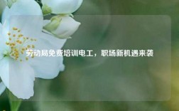 勞動局免費培訓(xùn)電工，職場新機遇來襲