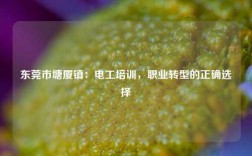 東莞市塘廈鎮(zhèn)：電工培訓，職業(yè)轉型的正確選擇