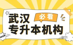 武漢市2025年統(tǒng)招全日制專升本培訓(xùn)機(jī)構(gòu)排行榜推薦如下：