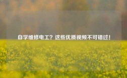 自學(xué)維修電工？這些優(yōu)質(zhì)視頻不可錯(cuò)過(guò)！