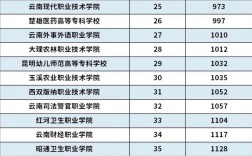 云南專科學校(云南職業技術學院有哪些)