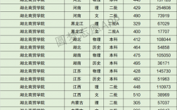 2024年湖北商貿(mào)學(xué)院專科分?jǐn)?shù)線