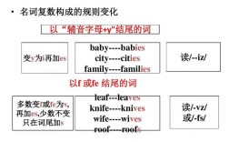 bamboo的復數