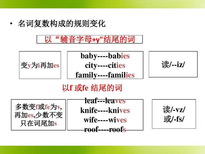 bamboo的復數-圖1