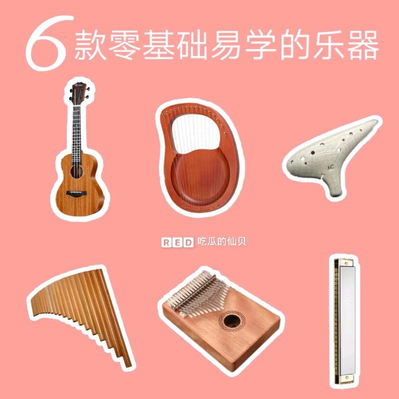 哪個(gè)樂器最簡(jiǎn)單好學(xué)-圖1