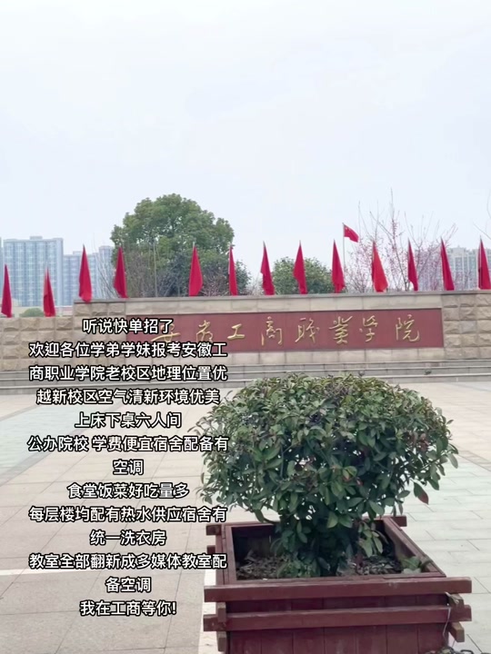 安徽工商職業(yè)學院地址(安徽十大最好專科學校)-圖1