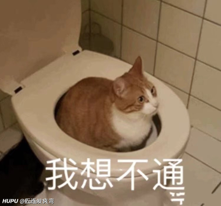 本科延畢但是考上研了(研究生報(bào)名條件)-圖1