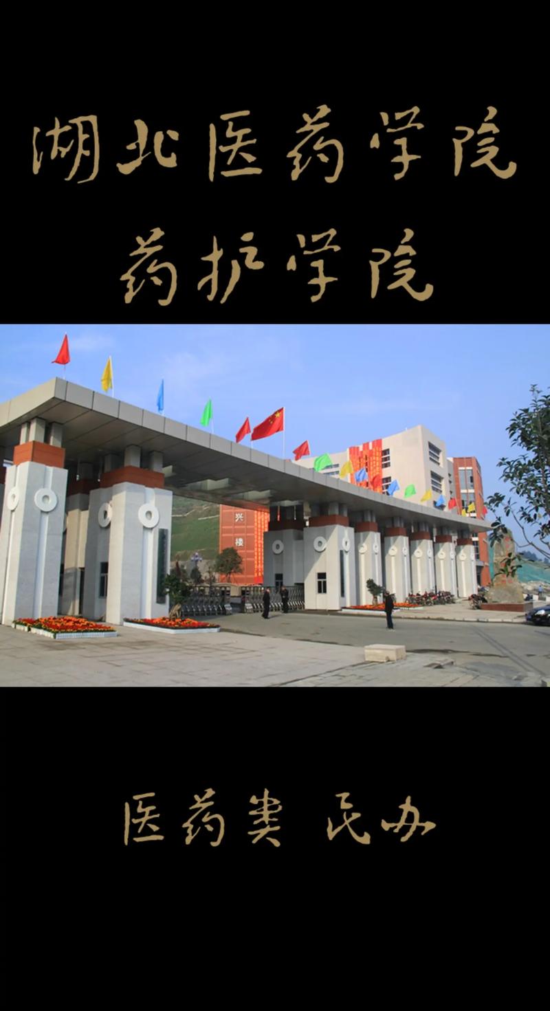 湖北醫(yī)學院藥護學院怎么樣-圖1