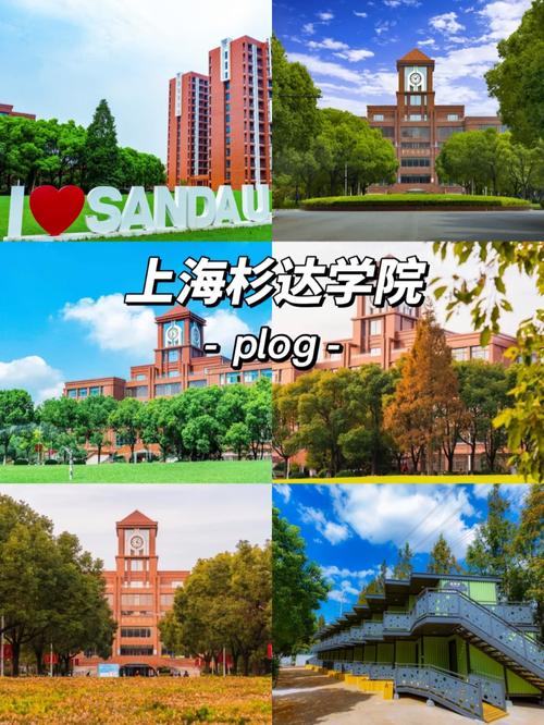 上海杉達學(xué)院教務(wù)處登錄入口（附網(wǎng)址+流程）-圖1