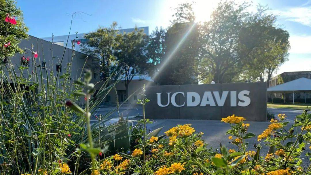 ucdavis大學(xué)世界排名第幾-圖1
