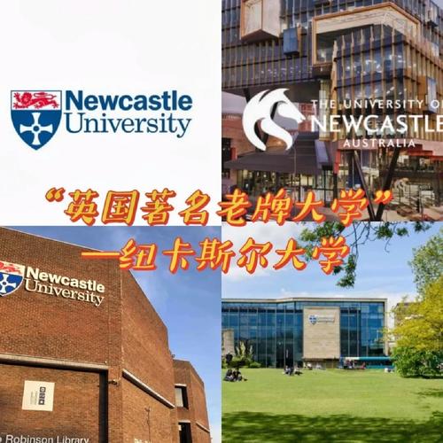 紐卡斯?fàn)柎髮W(xué)相當(dāng)于國內(nèi)什么大學(xué)？含金量高嗎？-圖1
