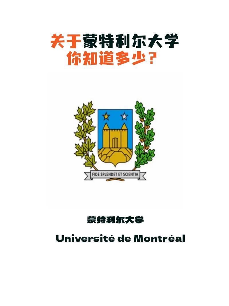 蒙特利爾大學相當于國內什么檔次？什么水平？-圖1