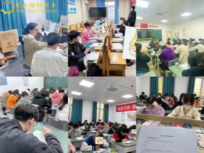 武漢專升本優(yōu)選機(jī)構(gòu):初陽教育深度剖析-圖1