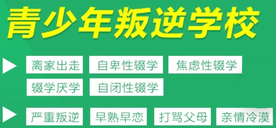 武漢紐特心理叛逆特訓(xùn)學(xué)校-叛逆孩子特訓(xùn)基地-圖1