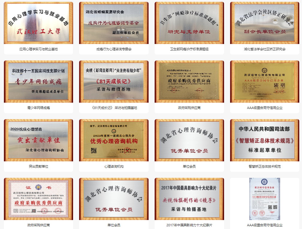 鄂州的問題少年叛逆行為干預學校-正規青少年心理健康成長基地-圖4 鄂州的問題少年叛逆行為干預學校-正規青少年心理健康成長基地-圖4