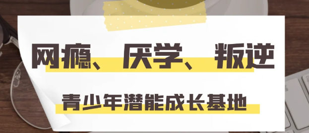 湖北武漢地區(qū)-專注孩子網(wǎng)癮、抑郁、叛逆，推薦紐特心理！-圖1
