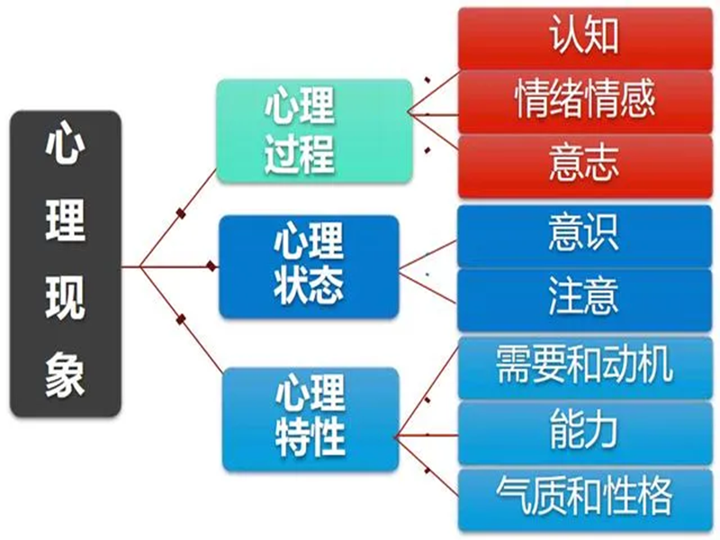 2025年中心協(xié)心理咨詢師怎么報(bào)名？-圖3