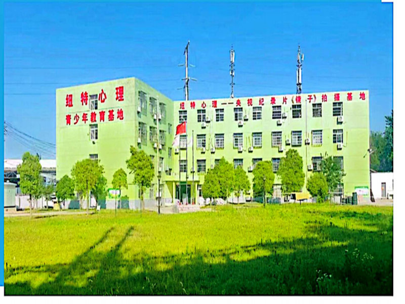 寧夏2025年Top10叛逆少年軍事化特訓(xùn)學(xué)校出爐名單-圖3