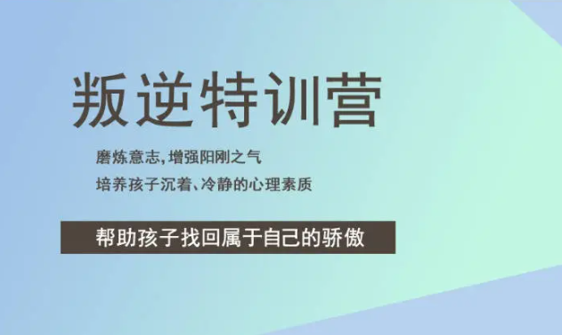 廣西來賓十大叛逆少年正規(guī)學校人氣排名-圖1