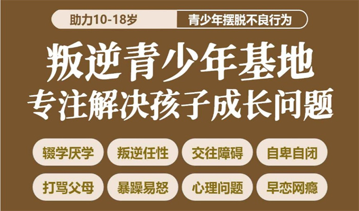 荊州十大專門矯正青少年叛逆厭學(xué)網(wǎng)癮教育學(xué)校名單一覽-圖3