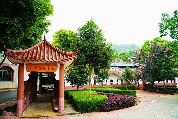 重慶德志錦輝素質(zhì)教育為什么好評如潮？-圖1