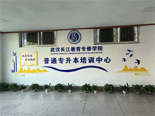 武漢市2025年統(tǒng)招全日制專升本培訓機構排行榜推薦如下-圖2