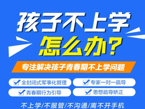 湖北武漢紐特心理-專注改善青少年網(wǎng)癮/叛逆、不上學(xué)-圖2