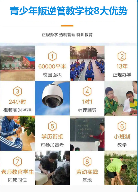 湖北武漢叛逆少年,厭學(xué)早戀問題孩子教育學(xué)校,紐特心理教育學(xué)校-圖2