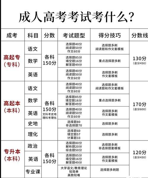 成人高考考什么-圖1