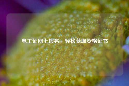 電工證網上報名，輕松獲取資格證書-圖1